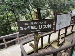 りす岐阜